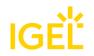 IGEL_logo_yellow